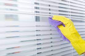 Blinds Cleaning & Window Cleaner